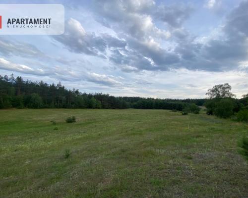 Atrakcyjna Działka Rolna w Nowej Kiszewie!