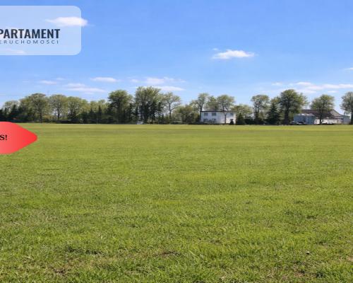 Przestronne działki na sprzedaż, blisko Torunia
