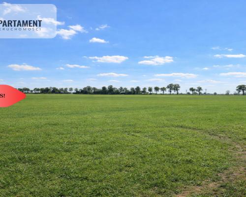 Przestronne działki na sprzedaż, blisko Torunia