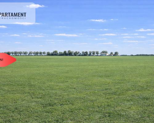 Przestronne działki na sprzedaż, blisko Torunia