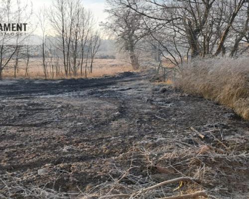 Działki pod hale magazynowe, produkcje, usługi.