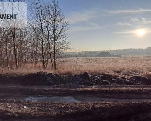 Działki pod hale magazynowe, produkcje, usługi.