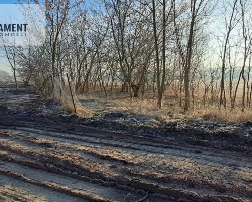 Działki pod hale magazynowe, produkcje, usługi.