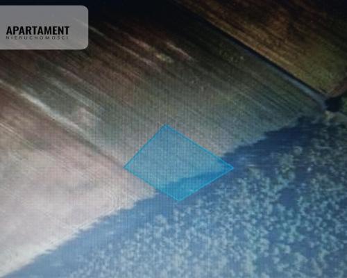 Piękna spokojna okolica ze ścianą lasu!!!