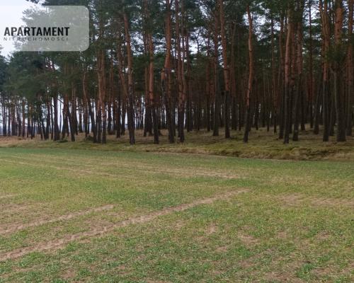 Piękna spokojna okolica ze ścianą lasu!!!