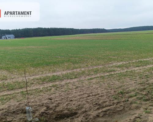 Piękna spokojna okolica ze ścianą lasu!!!