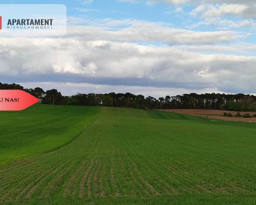 * Działki w spokojnej okolicy  1300mkw Szubin