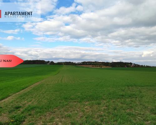 * Działki w spokojnej okolicy  1300mkw Szubin