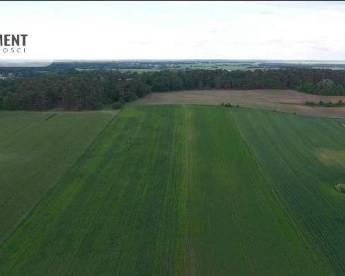 * Działki w spokojnej okolicy  1300mkw Szubin