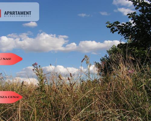 Osówka Kolonia - działka 674 mkw, tanio!