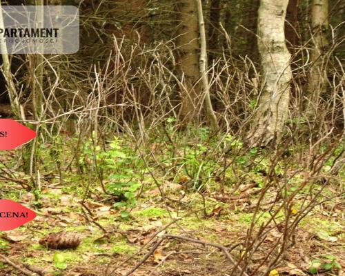 Osówka Kolonia - działka 674 mkw, tanio!