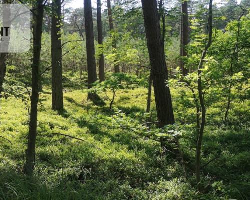 Osówka Kolonia - działka 674 mkw, tanio!