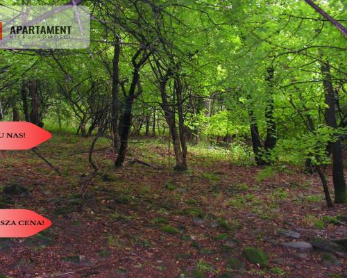 Osówka Kolonia - działka 674 mkw, tanio!