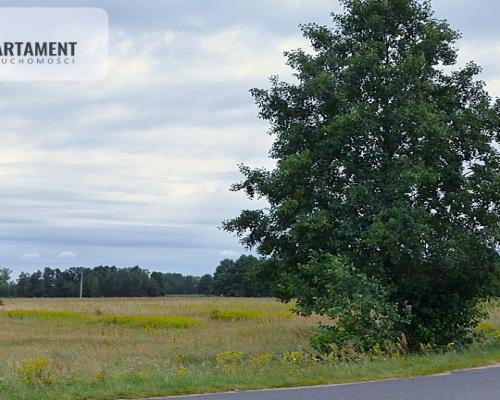 Działki z war. zabudowy pod siedlisko - Małomin