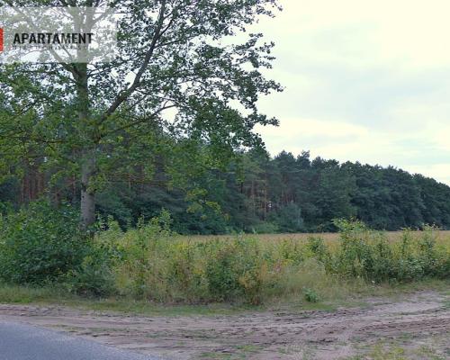 Działki z war. zabudowy pod siedlisko - Małomin