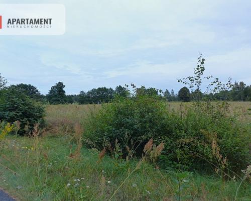 Działki z war. zabudowy pod siedlisko - Małomin