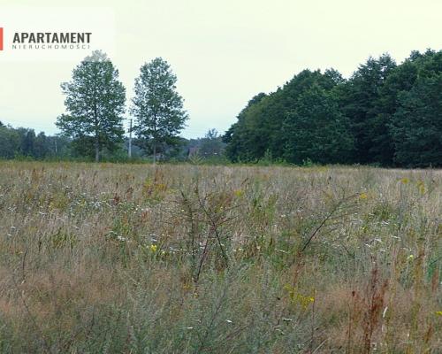 Działki z war. zabudowy pod siedlisko - Małomin