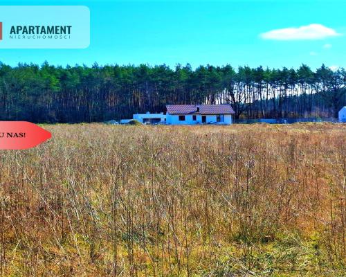 Wałdowo Królewskie 1000 m2 las cisza spokój