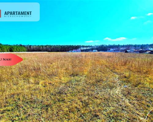 Wałdowo Królewskie 1000 m2 las cisza spokój