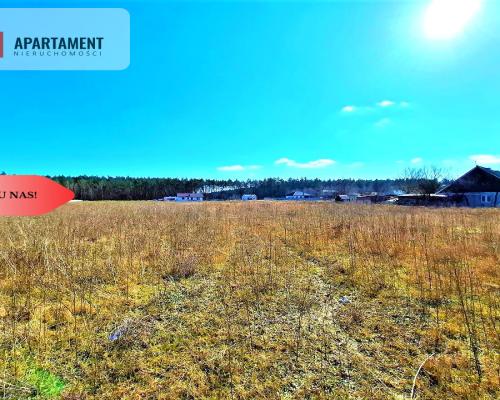 Wałdowo Królewskie 1000 m2 las cisza spokój