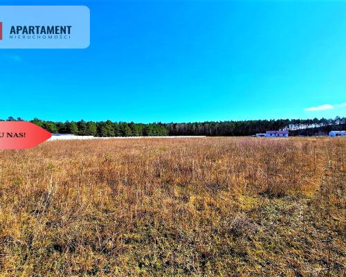 Wałdowo Królewskie 1000 m2 las cisza spokój