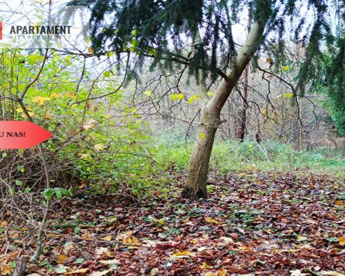 Działka  z pozwoleniem budowy domu opieki.