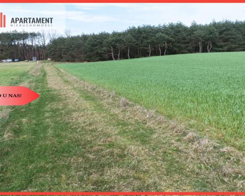 TYLKO U NAS !!! PIĘKNA OTOCZONA BORAMI DZIAŁKA !