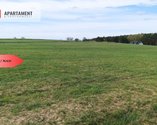 TYLKO U NAS !!! PIĘKNA OTOCZONA BORAMI DZIAŁKA !