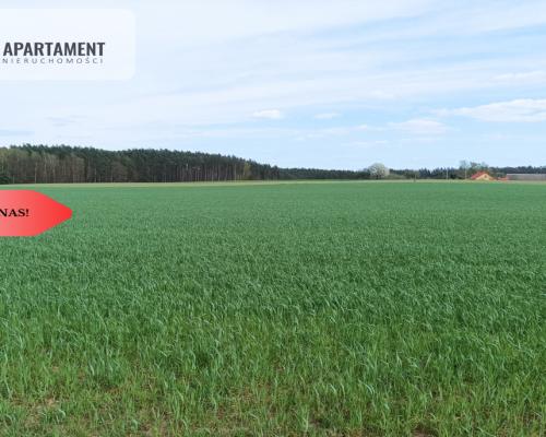 TYLKO U NAS !!! PIĘKNA OTOCZONA BORAMI DZIAŁKA !