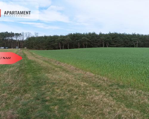 TYLKO U NAS !!! PIĘKNA OTOCZONA BORAMI DZIAŁKA !