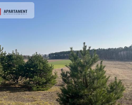 Działka budowlana w Oporówku