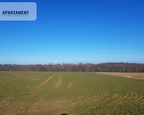 DZIAŁKA BUDOWLANA tereny w okolicy "Natura 2000"