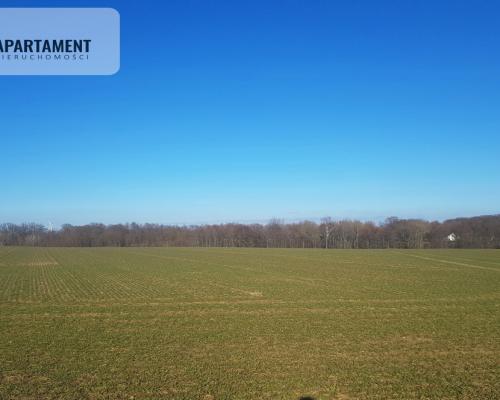 DZIAŁKA BUDOWLANA tereny w okolicy "Natura 2000"