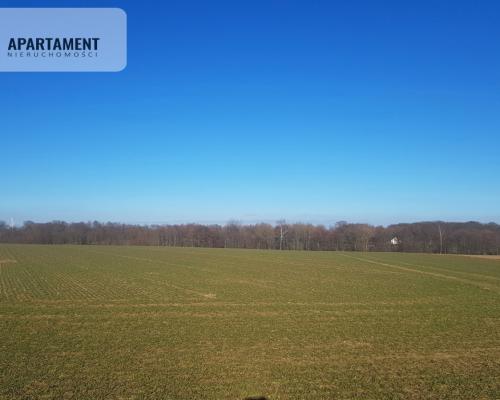 DZIAŁKA BUDOWLANA tereny w okolicy "Natura 2000"