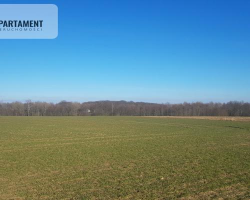 DZIAŁKA BUDOWLANA tereny w okolicy "Natura 2000"