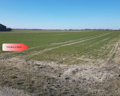 Tylko u Nas! Działka w gm. Dobrcz!