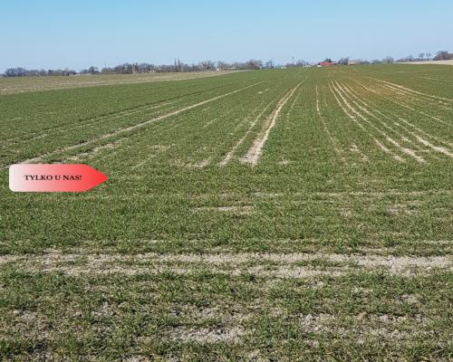 Tylko u Nas! Działka w gm. Dobrcz!