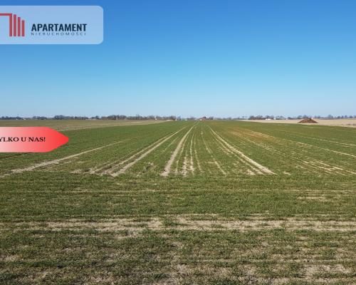Tylko u Nas! Działka w gm. Dobrcz!
