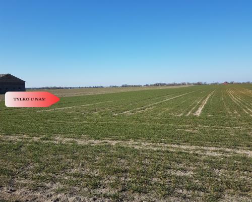 Tylko u Nas! Działka w gm. Dobrcz!