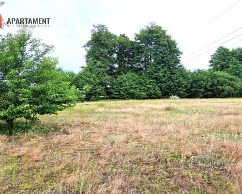 Działka zabudowana, mieszkaniowa