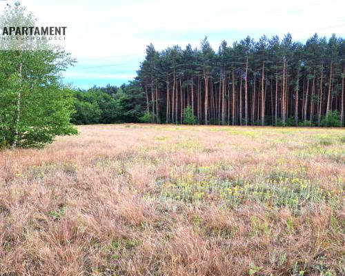 Działka zabudowana, mieszkaniowa