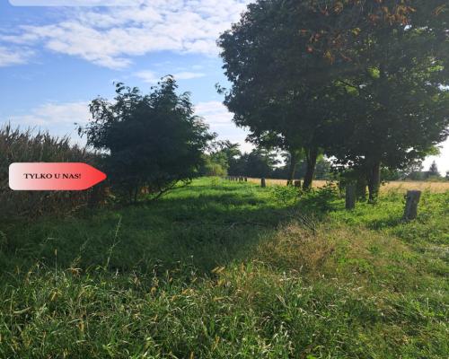 Duże działki budowlane w Stobnie