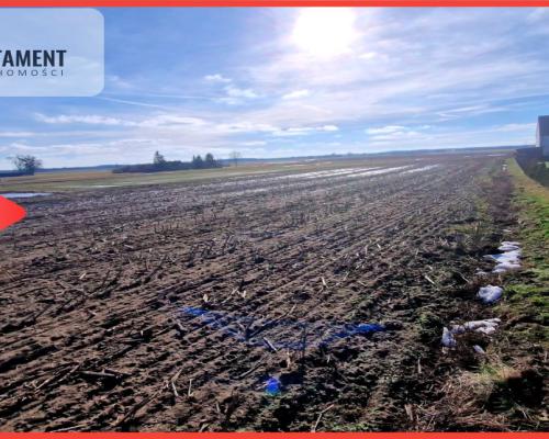 TYLKO U NAS! Ostatnia tak tania działka w Sępólnie