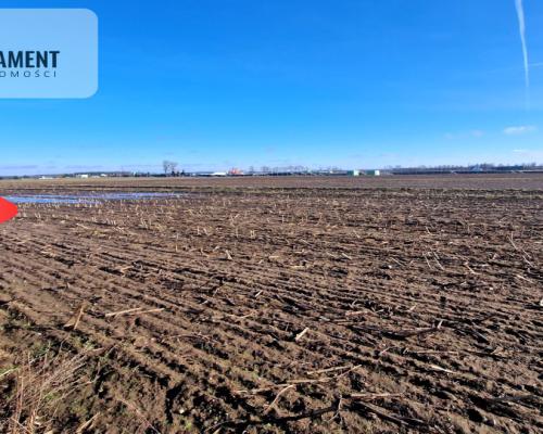 TYLKO U NAS! Ostatnia tak tania działka w Sępólnie