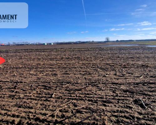 TYLKO U NAS! Ostatnia tak tania działka w Sępólnie