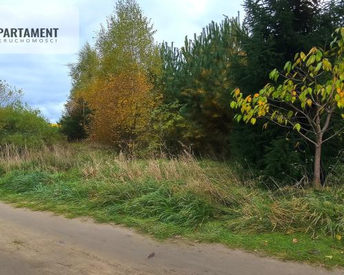 Działka 3039 m² w Siwiałce –las, jezioro w okolicy