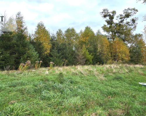 Działka 3039 m² w Siwiałce –las, jezioro w okolicy