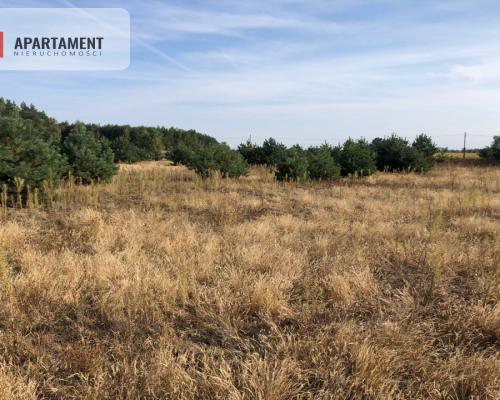 Tylko u nas !! Działka na osiedlu pod lasem !!