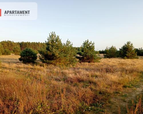 Tylko u nas !! Działka na osiedlu pod lasem !!