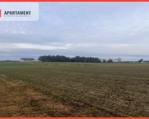 Działki z WZ - Dom jednorodzinny